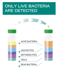 alive bacteria BOX